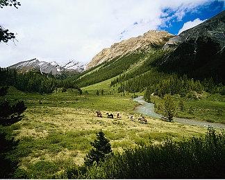 《生化危机》系列累计销量现已超1.54亿套