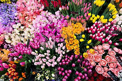 《死或生：女神璀璨假期》女角图赏 六大美女让你沉迷